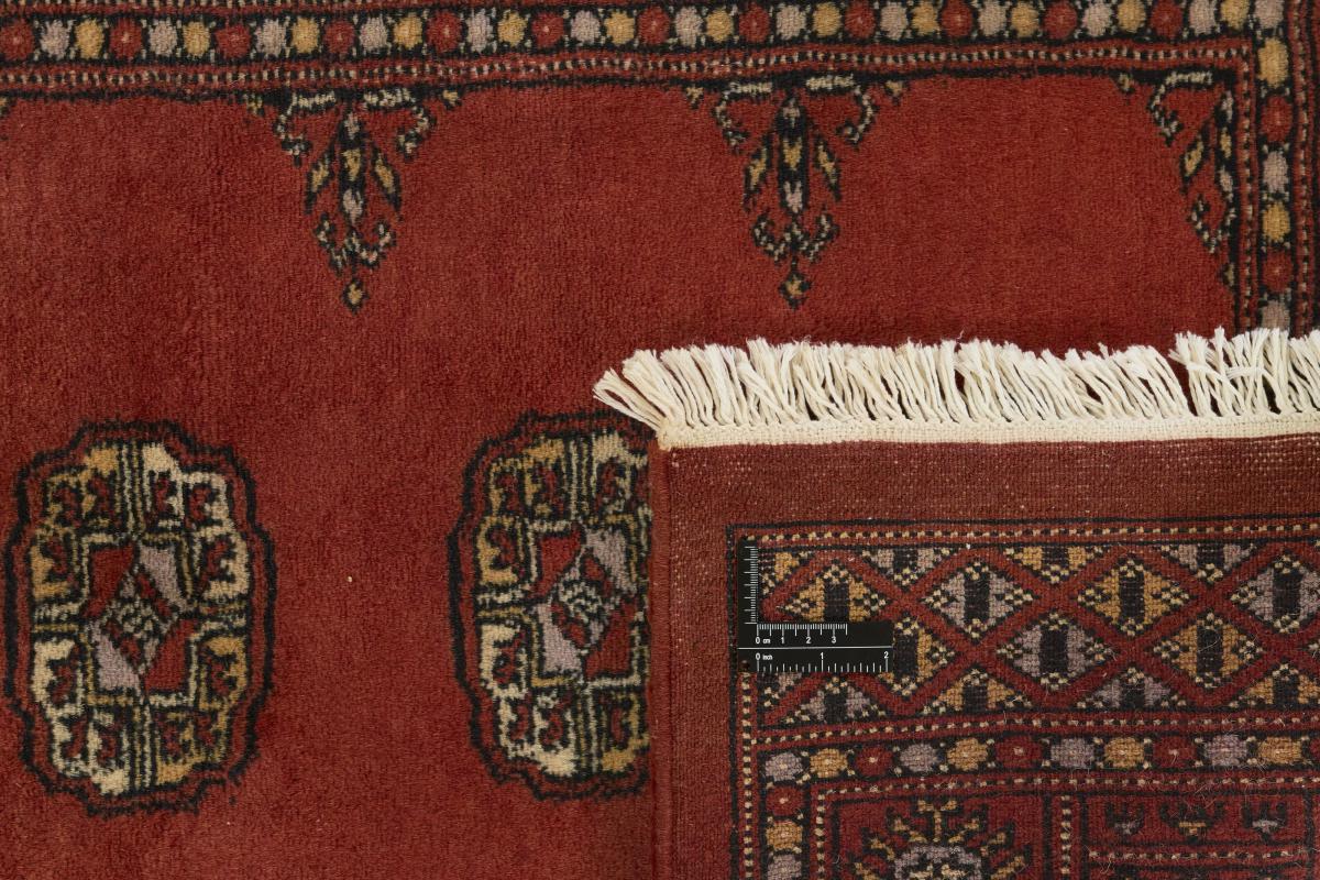 Pakistan Buchara 3ply - 1