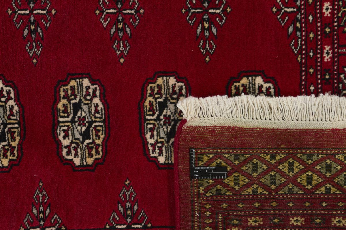 Pakistan Buchara 2ply - 1