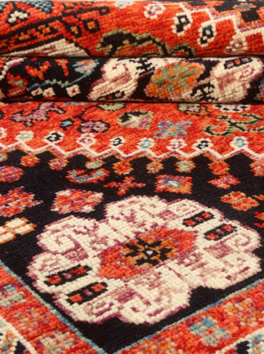 Arijana Ghashghai - 1