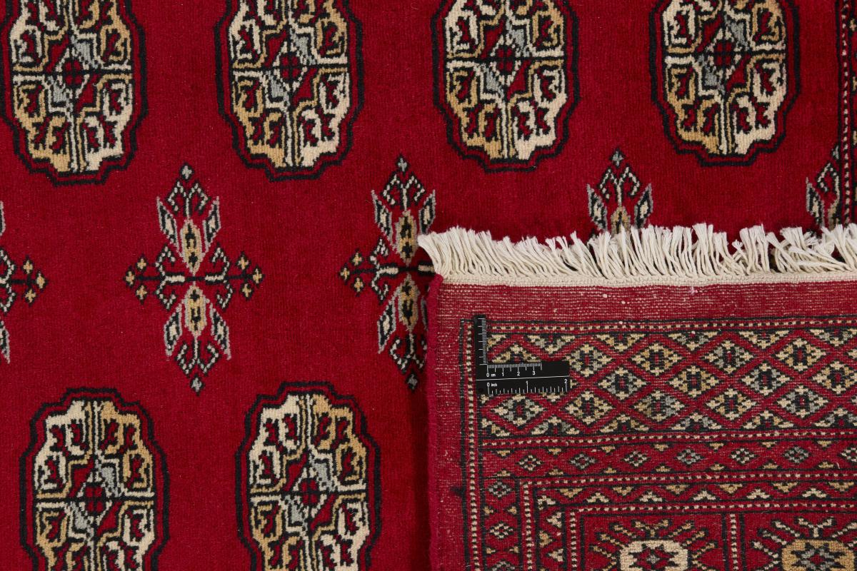 Pakistan Buchara 2ply - 1