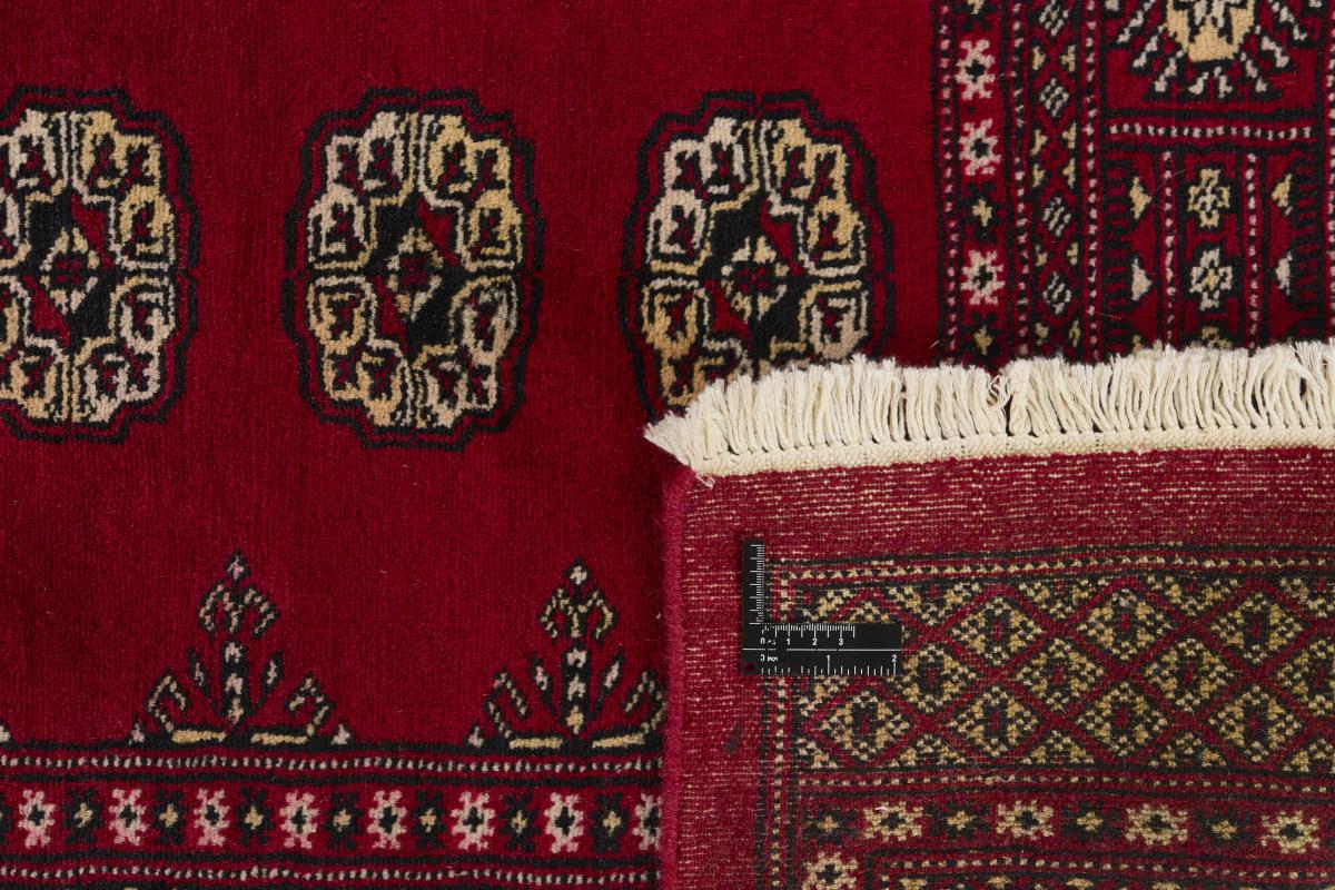 Pakistan Buchara 2ply - 1