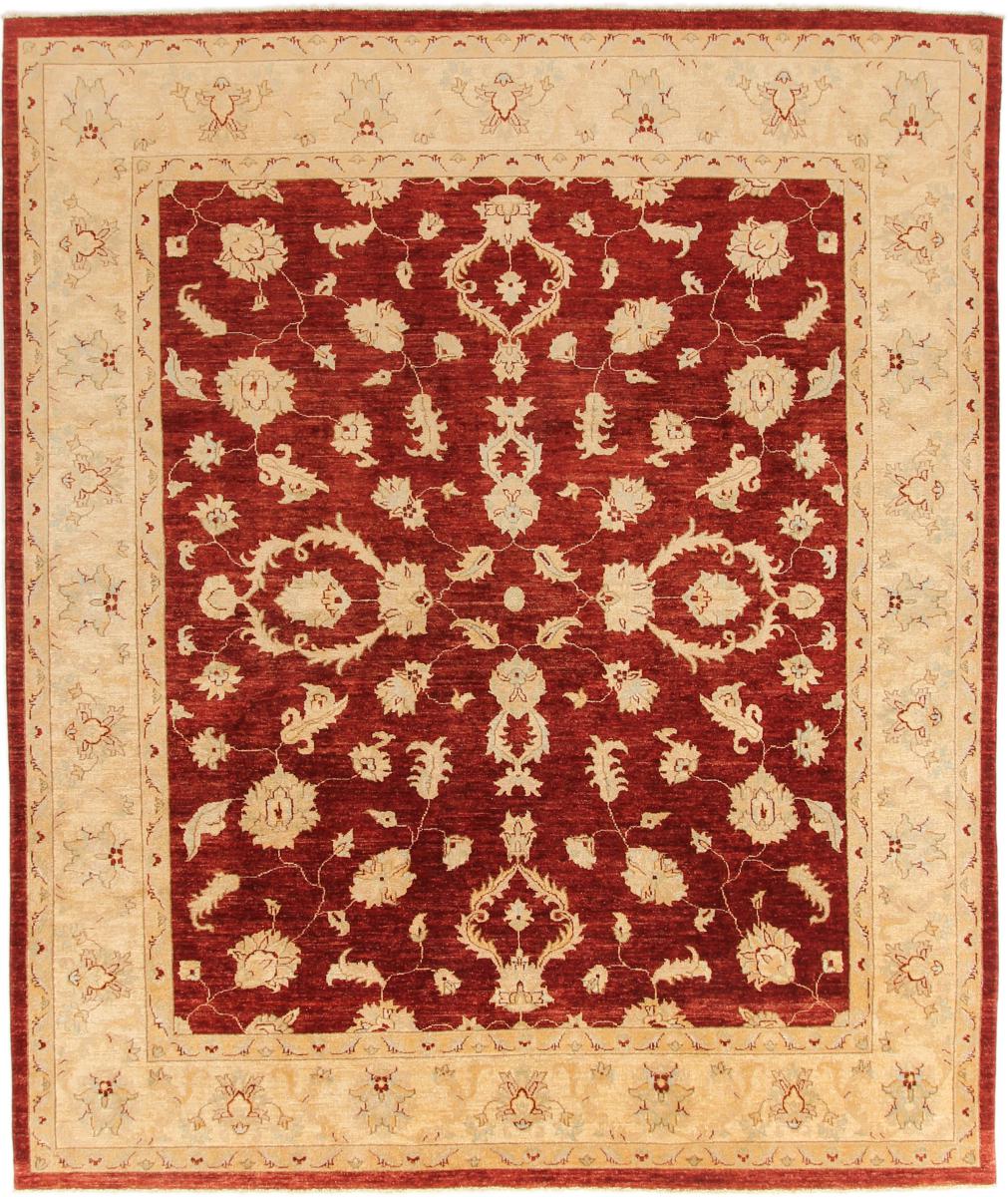 Pakisztáni szőnyeg Ziegler Farahan 10'1"x8'2" 10'1"x8'2", Perzsa szőnyeg Kézzel csomózva