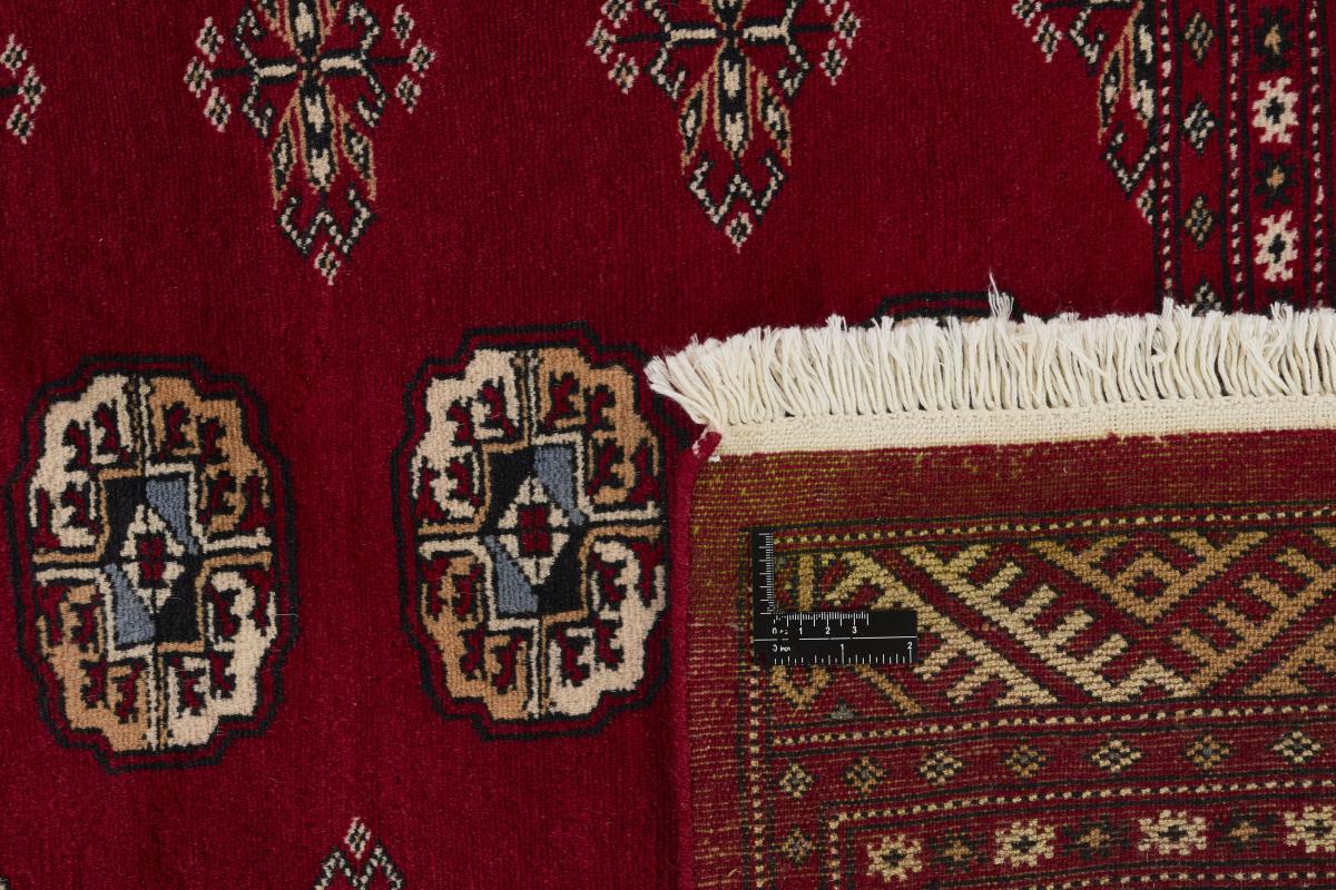 Pakistan Buchara 2ply - 1