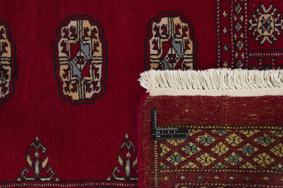 Pakistan Buchara 2ply - 1