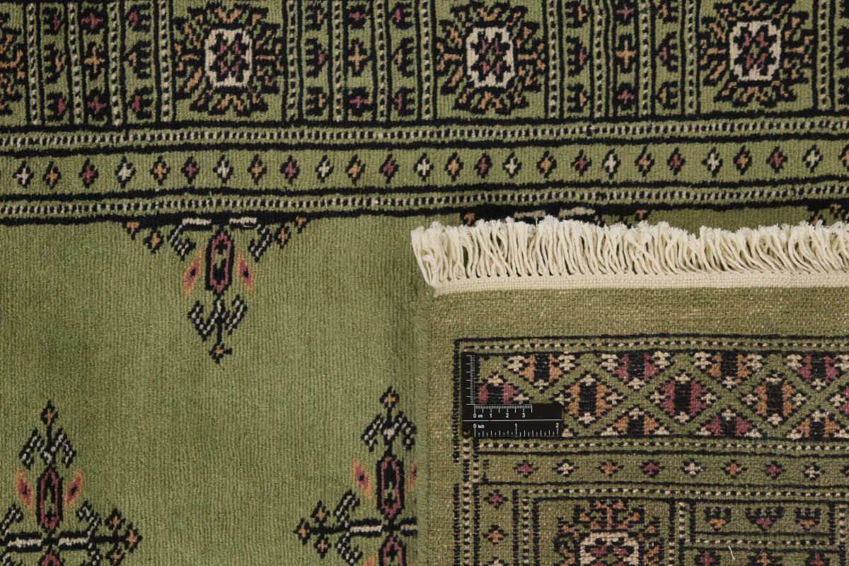 Pakistan Buchara 2ply - 1