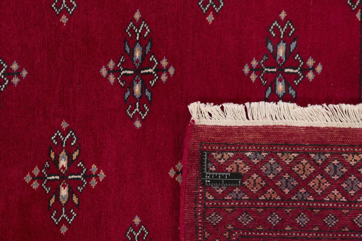 Pakistan Buchara 2ply - 1