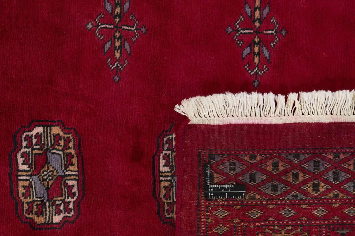 Pakistan Buchara 3ply - 1