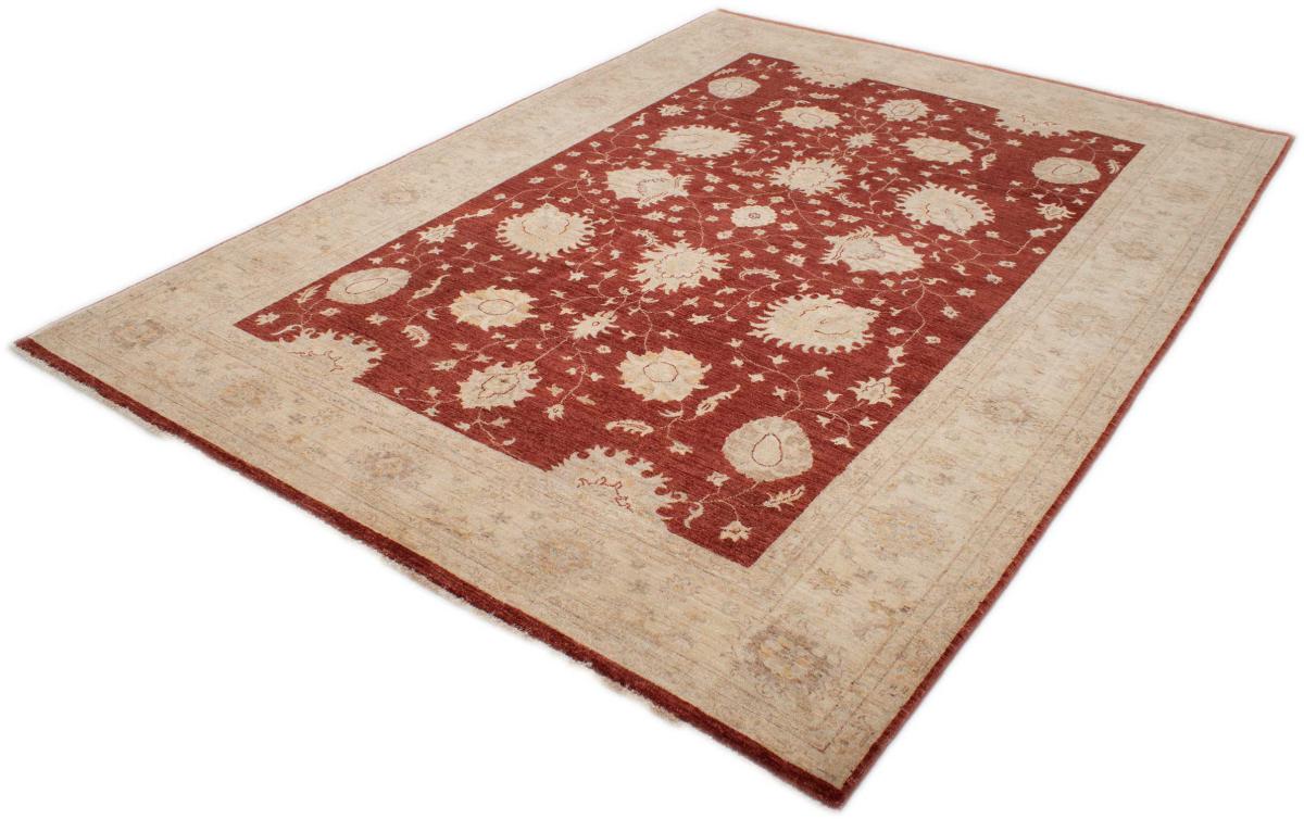 Ziegler Farahan - 1