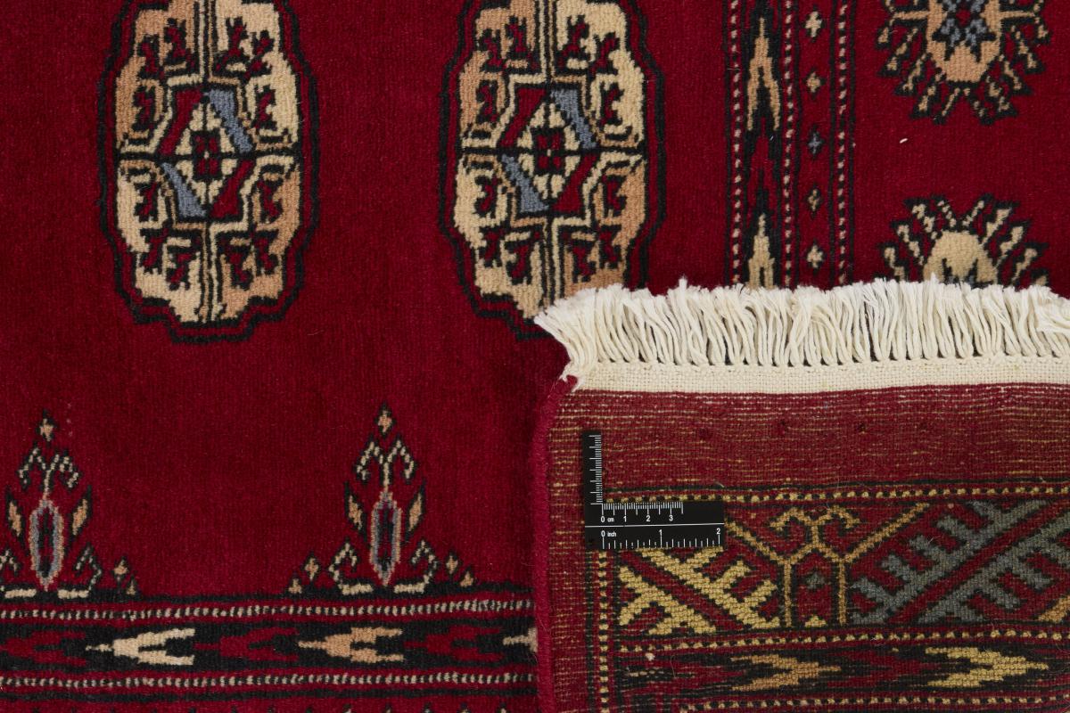 Pakistan Buchara 2ply - 1