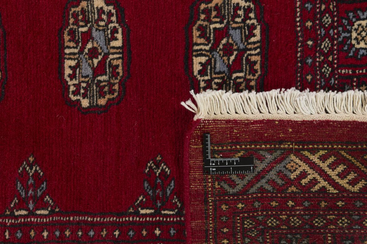 Pakistan Buchara 2ply - 1