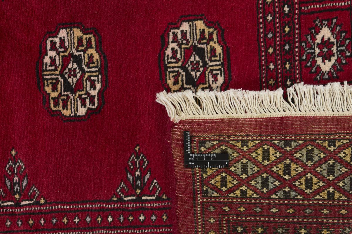 Pakistan Buchara 2ply - 1