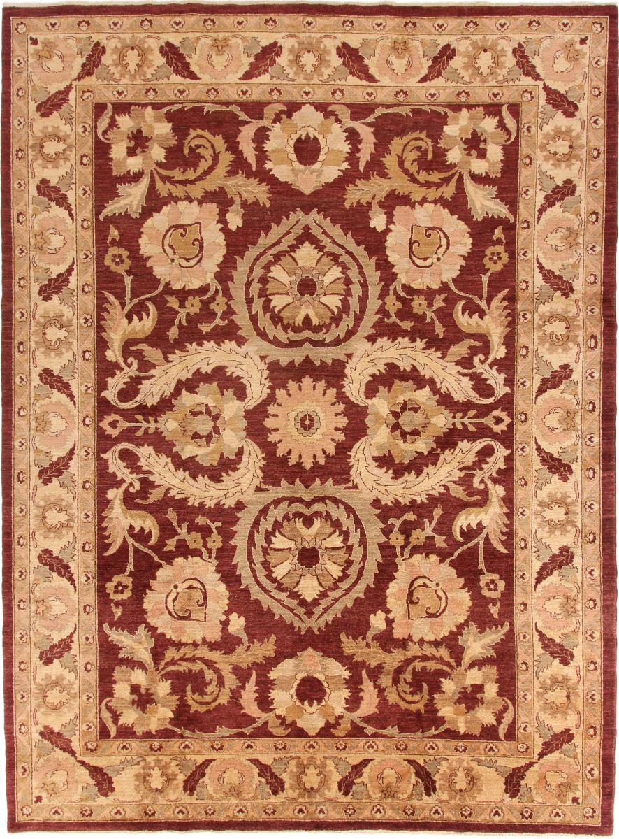 Pakistani rug Ziegler Farahan 379x282 379x282, Persian Rug Knotted by hand