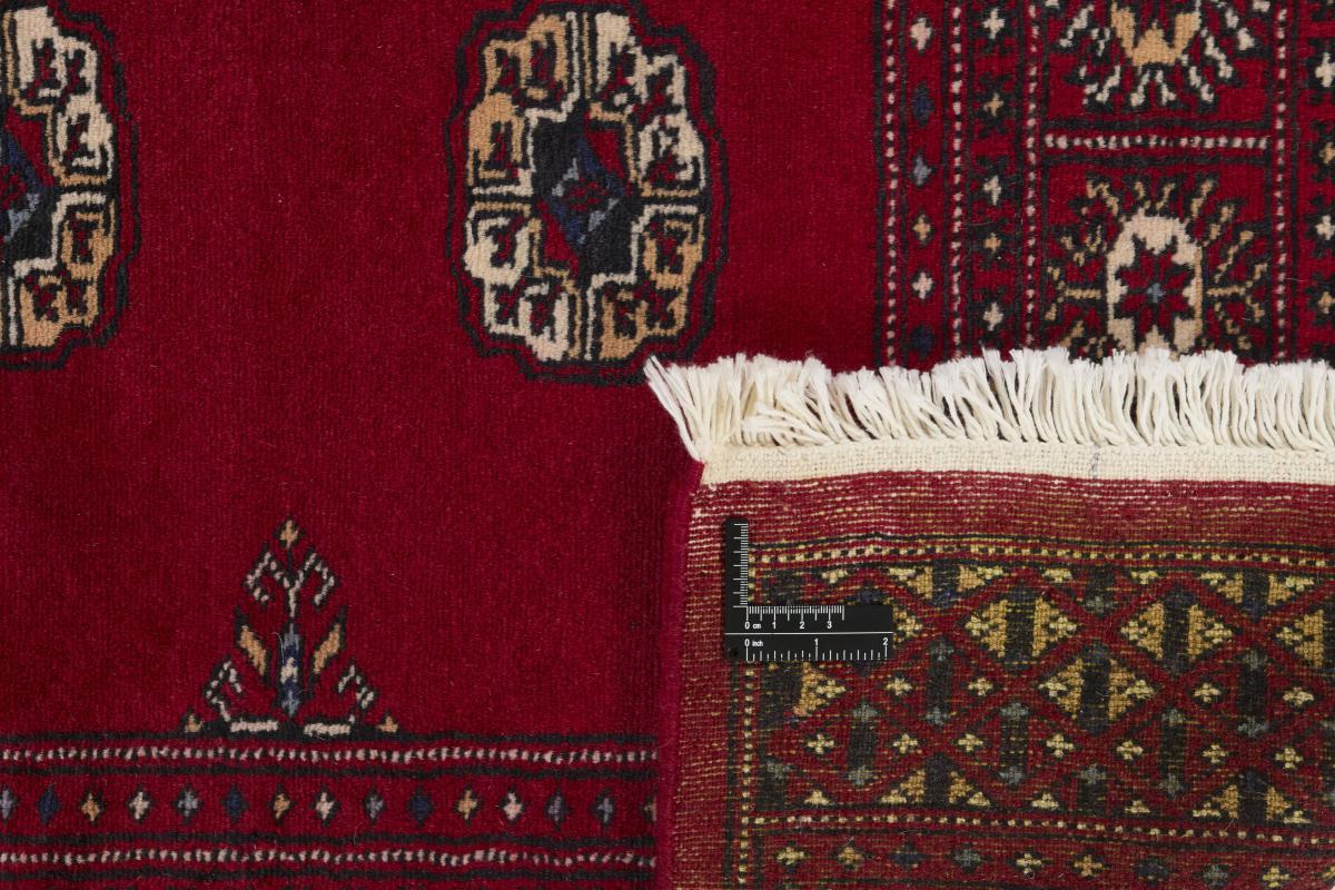 Pakistan Buchara 2ply - 1