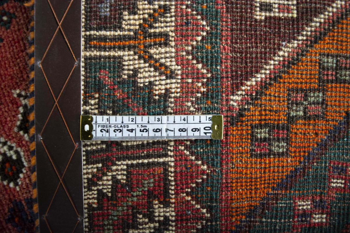 Shiraz - 1