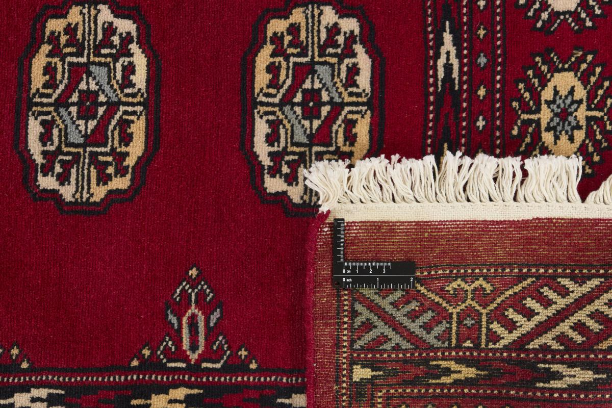Pakistan Buchara 2ply - 1