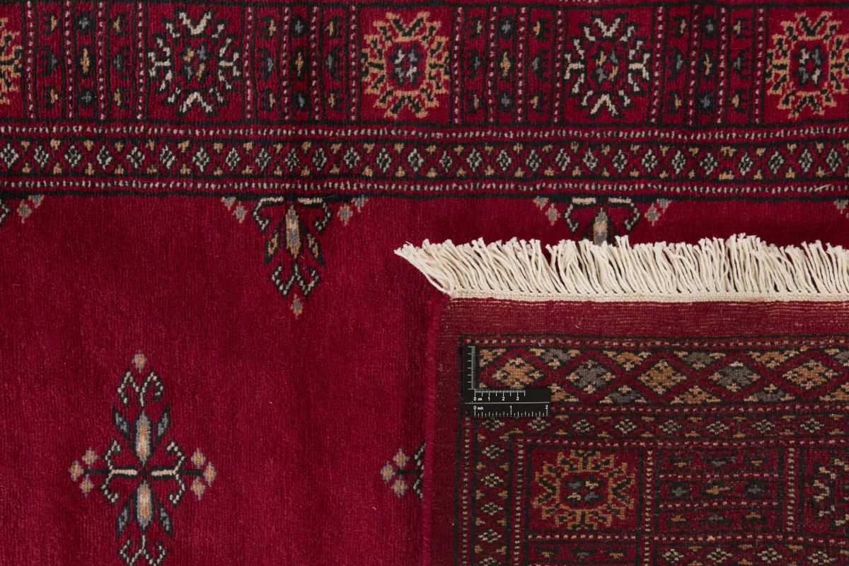 Pakistan Buchara 2ply - 1