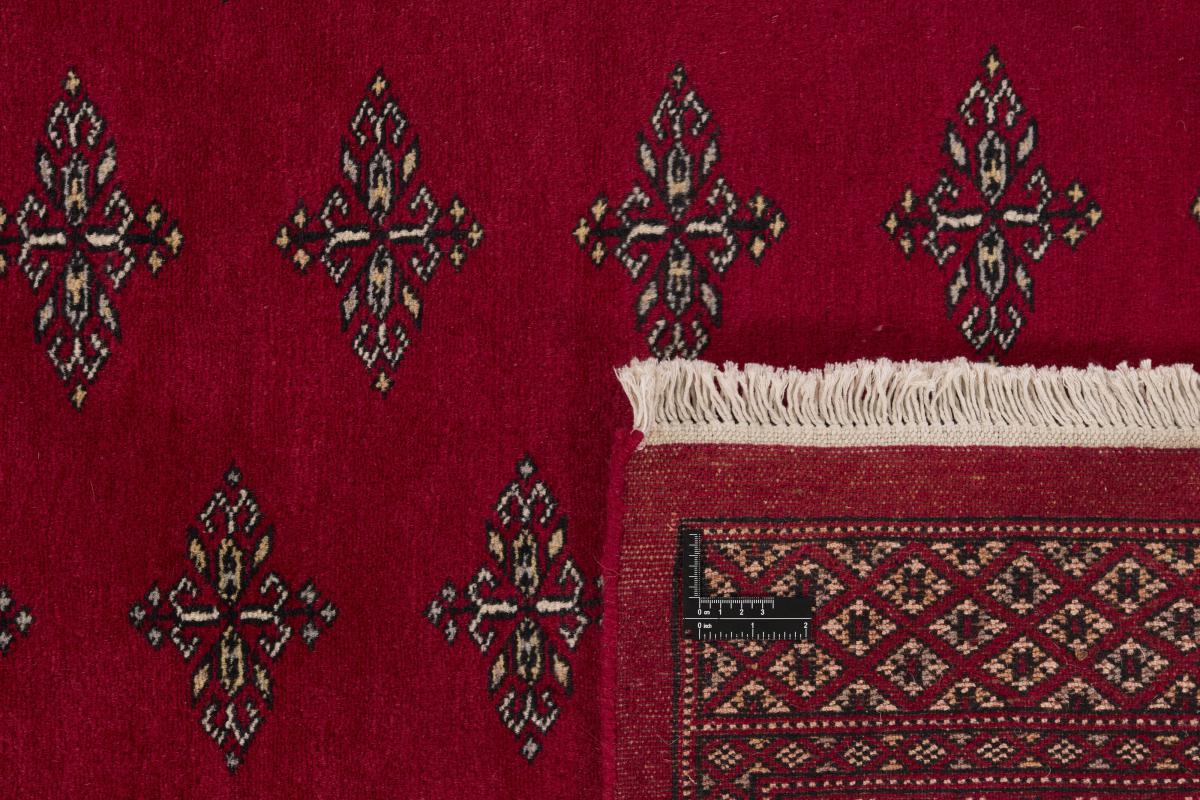 Pakistan Buchara 2ply - 1