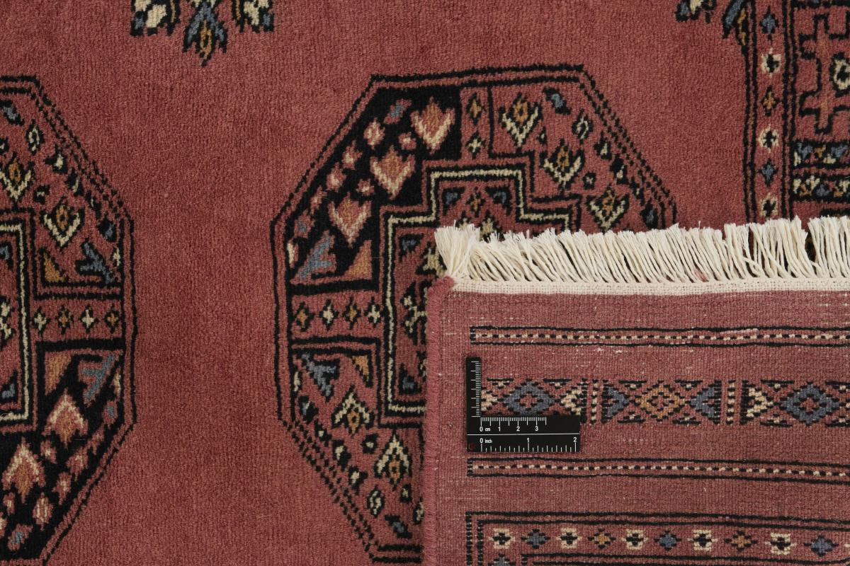 Pakistan Buchara 3ply - 1