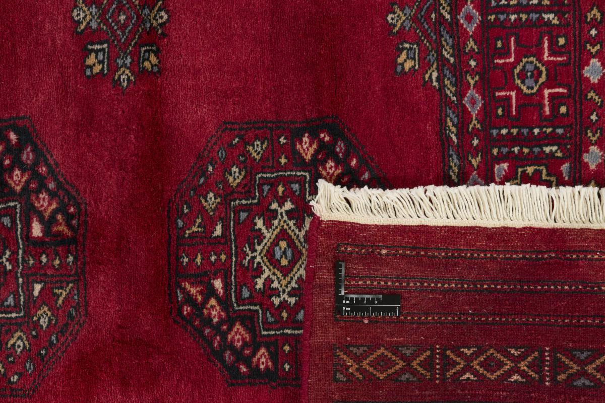 Pakistan Buchara 3ply - 1