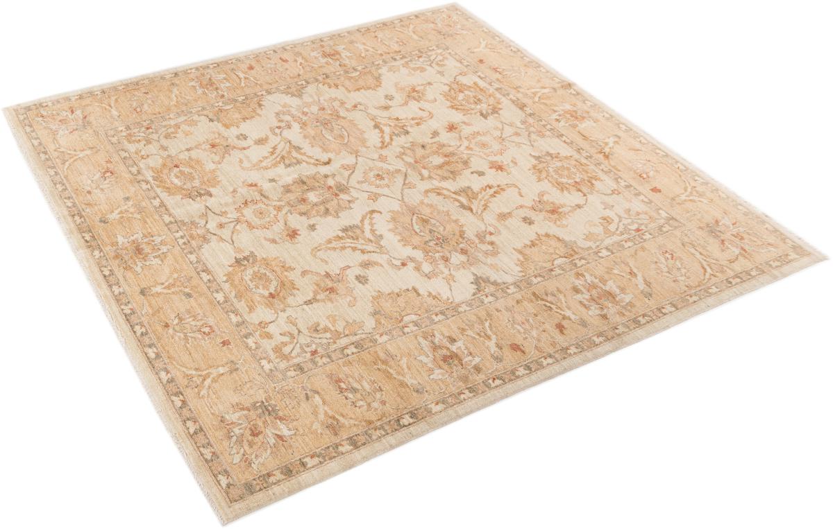 Ziegler Farahan - 1