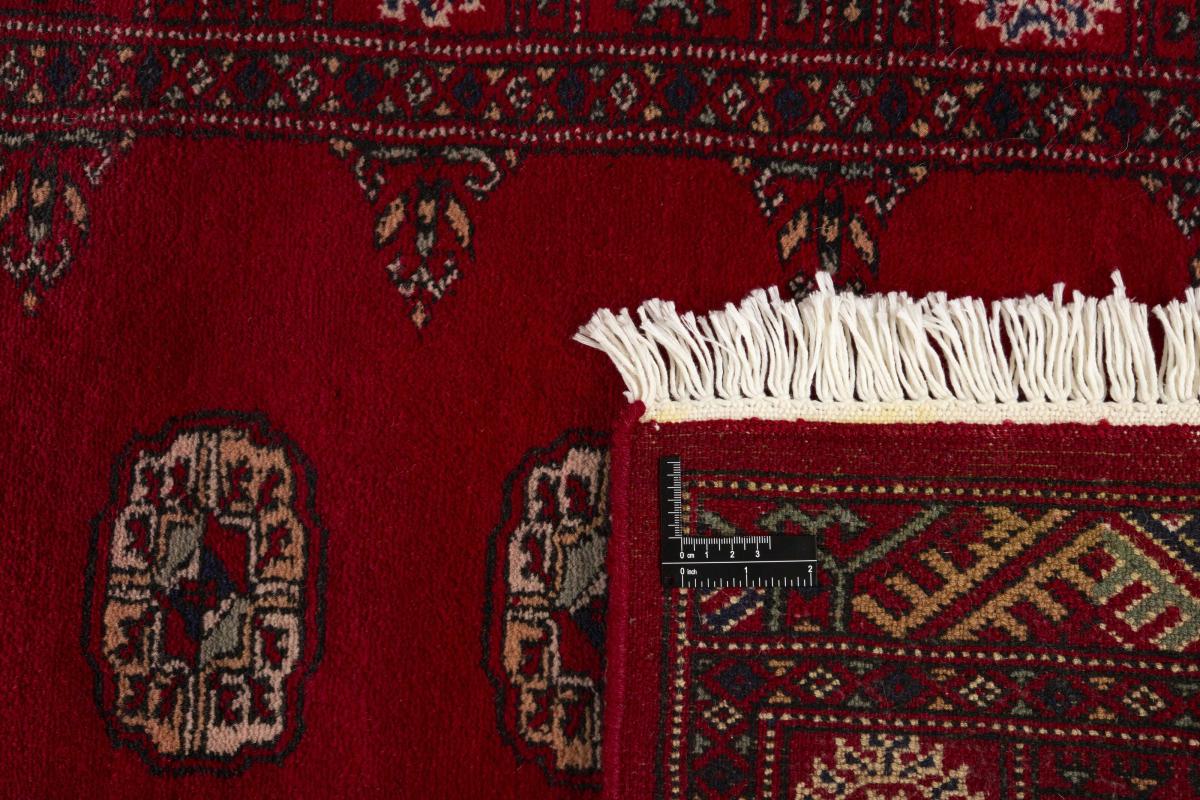 Pakistan Buchara 3ply - 1