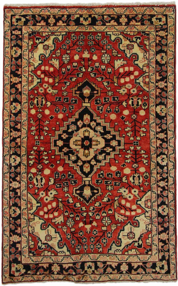 Tapis persan Hamadan 208x131 208x131, Tapis persan Noué à la main
