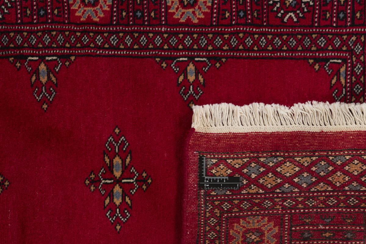 Pakistan Buchara 2ply - 1