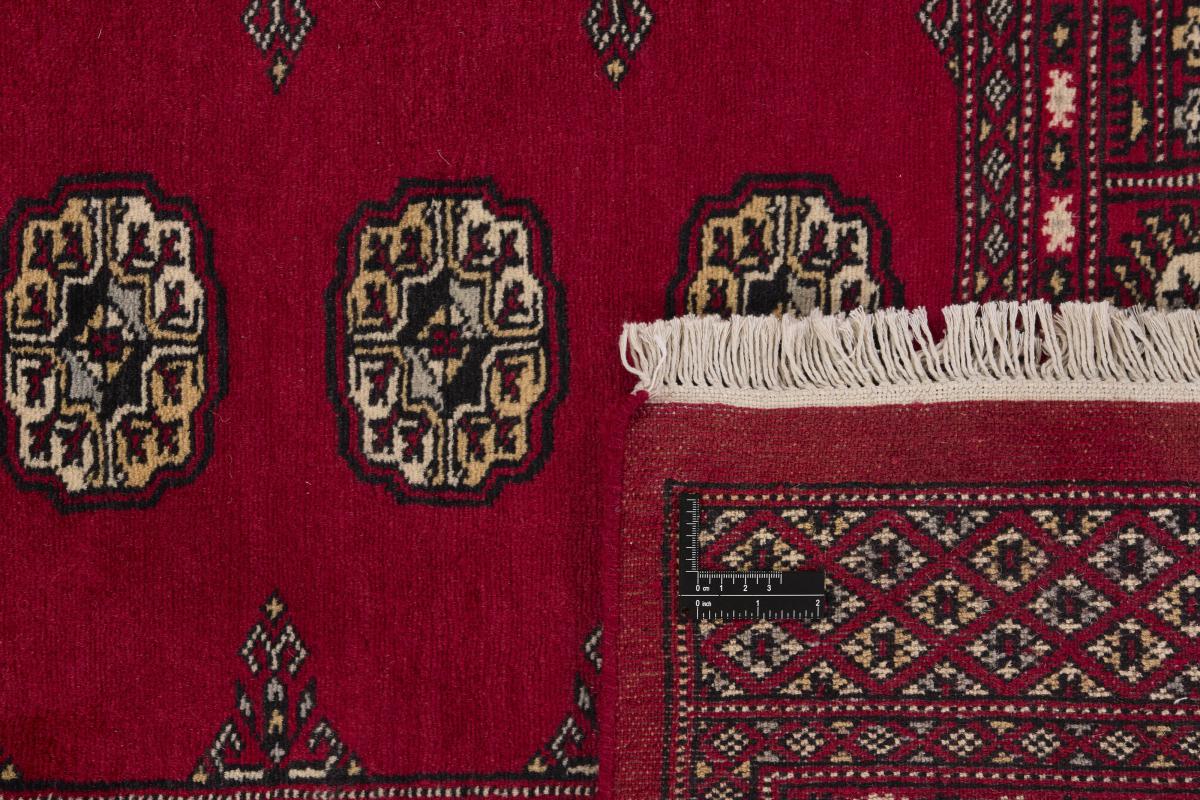 Pakistan Buchara 2ply - 1