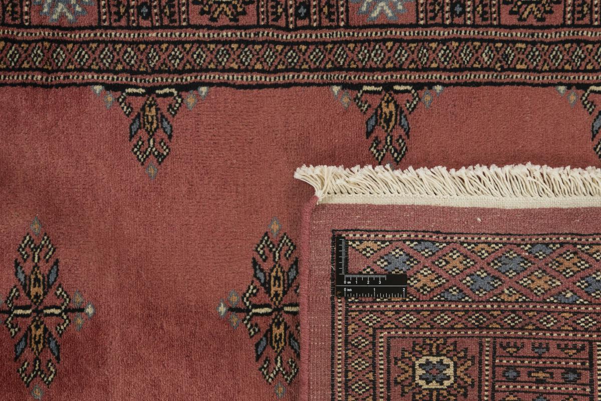 Pakistan Buchara 3ply - 1