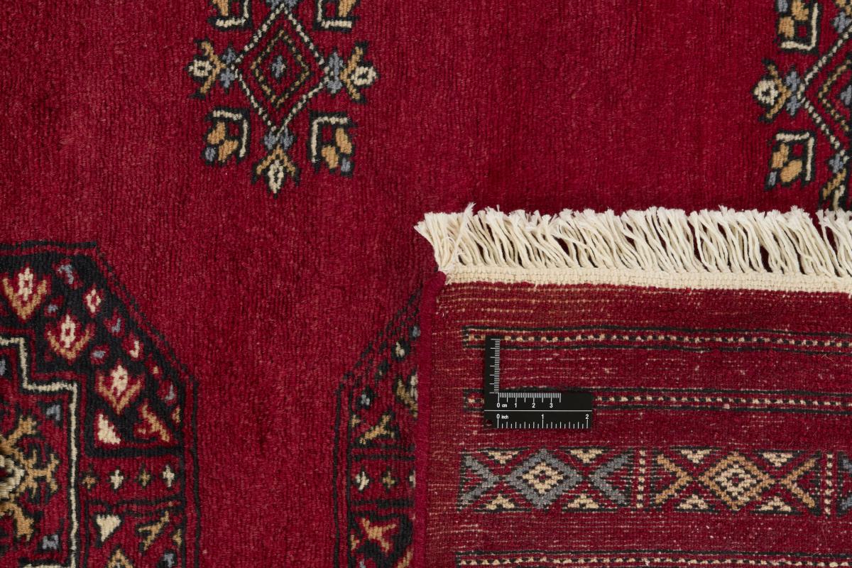 Pakistan Buchara 3ply - 1