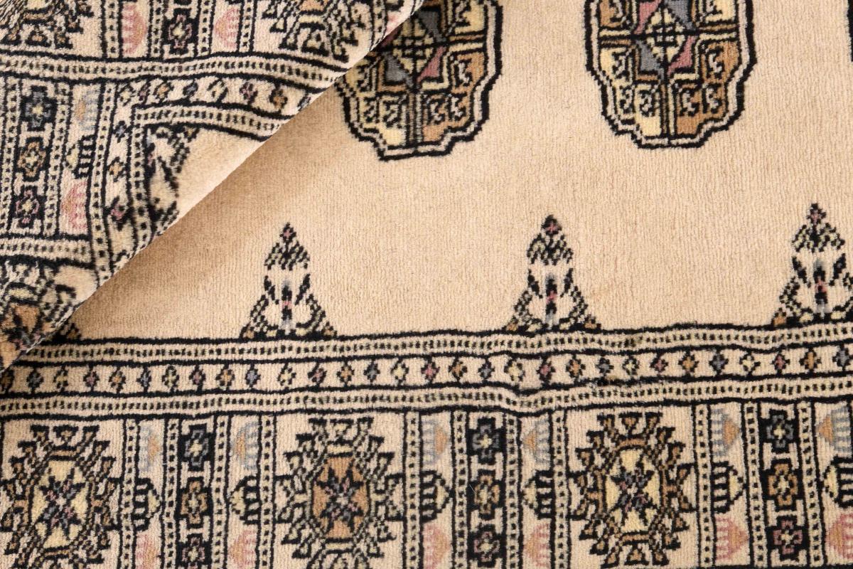Pakistan Buchara 3ply - 1