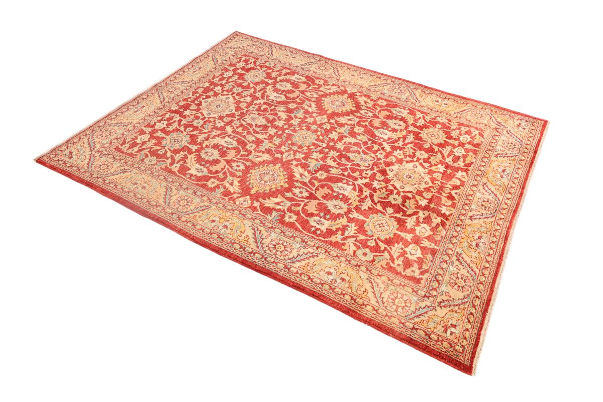 Ziegler Farahan - 1