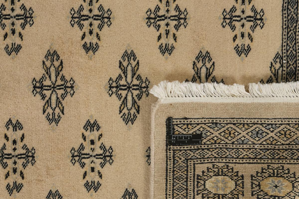 Pakistan Buchara 2ply - 1