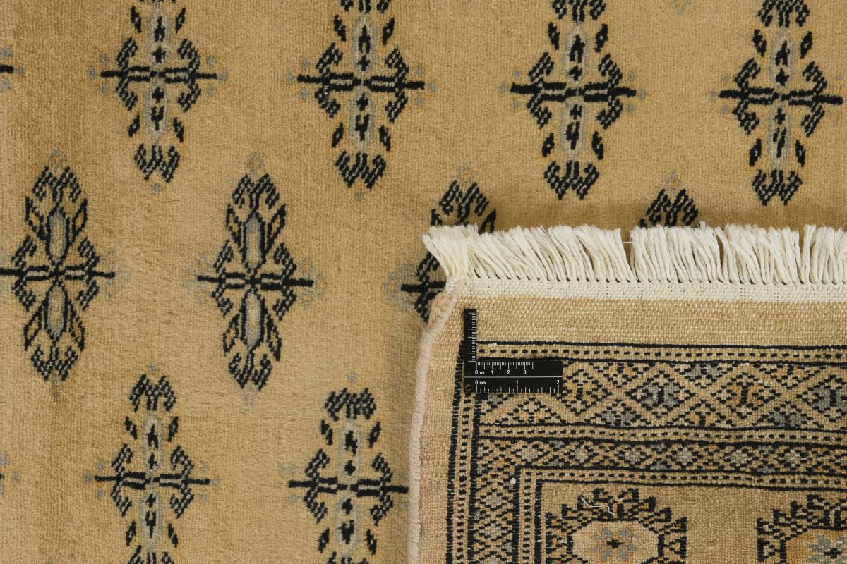 Pakistan Buchara 2ply - 1