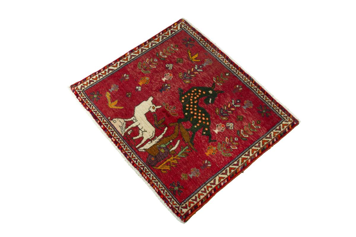 Shiraz - 1