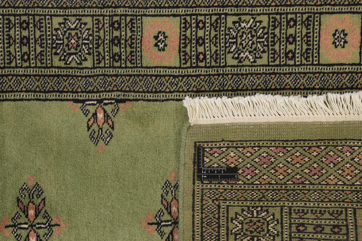 Pakistan Buchara 2ply - 1