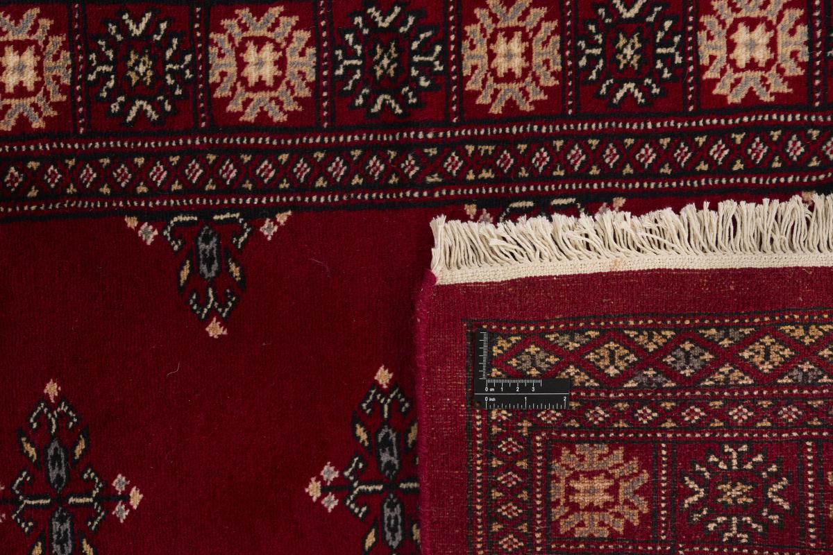 Pakistan Buchara 2ply - 1