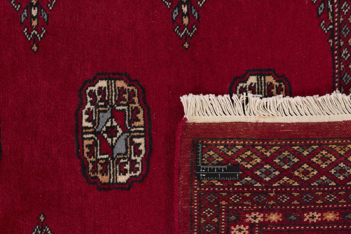 Pakistan Buchara 2ply - 1