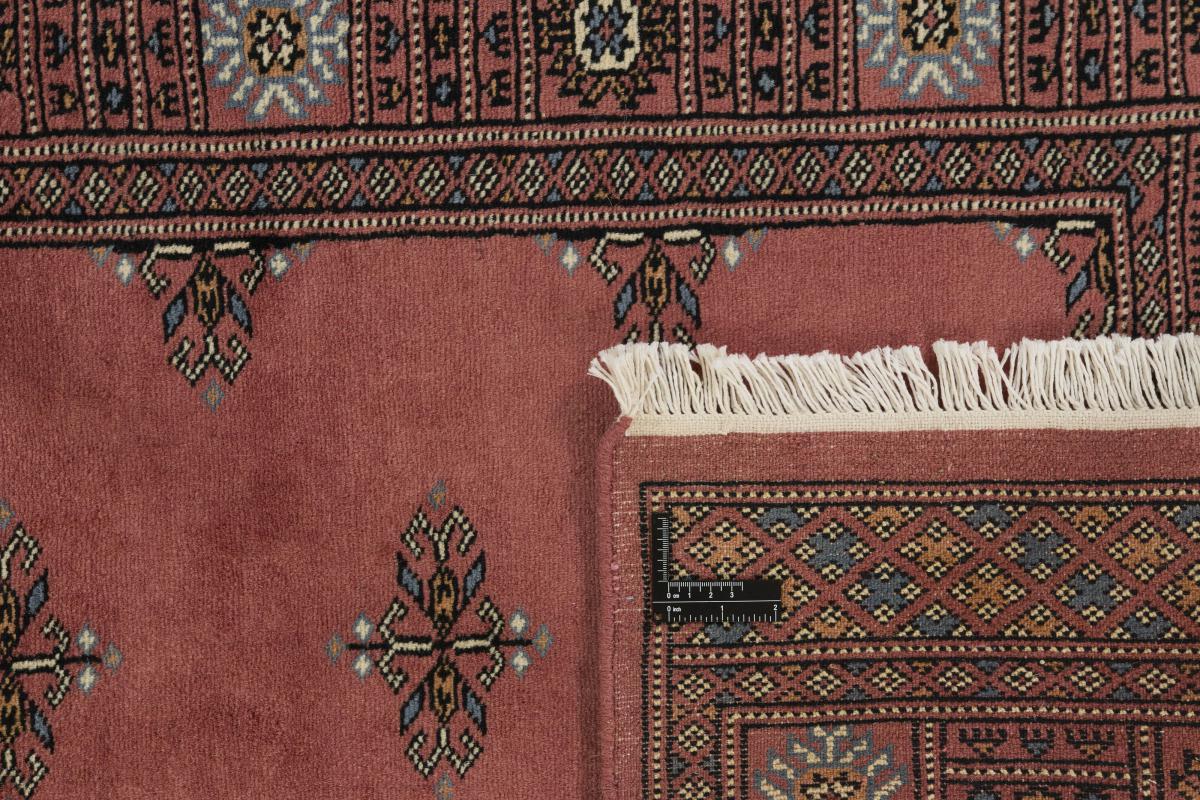 Pakistan Buchara 3ply - 1