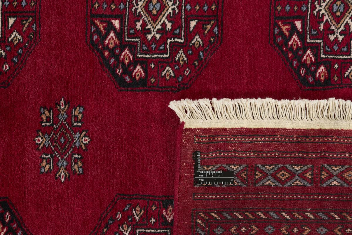 Pakistan Buchara 3ply - 1