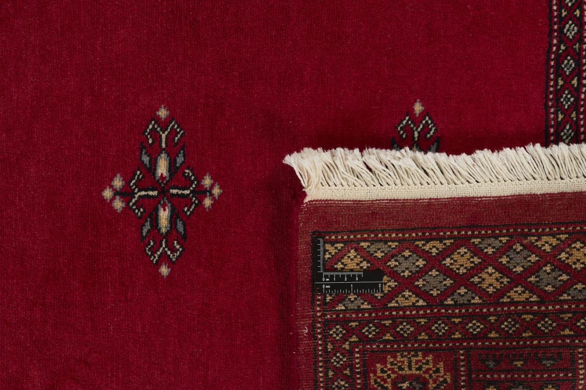 Pakistan Buchara 2ply - 1
