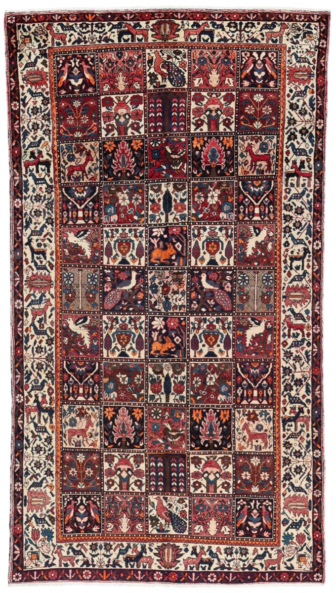 Περσικό χαλί Μπαφτιάρ 306x166 306x166, Περσικό χαλί Οι κόμποι έγιναν με το χέρι