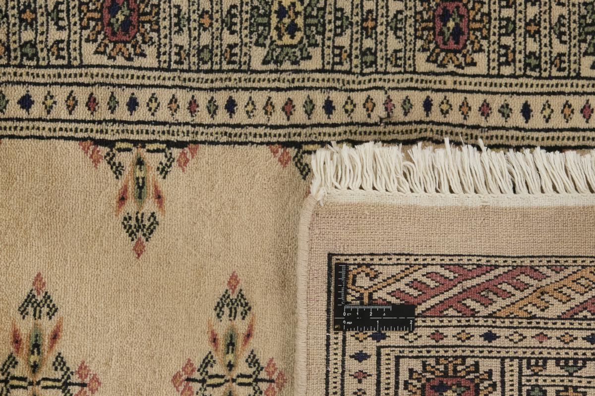 Pakistan Buchara 2ply - 1