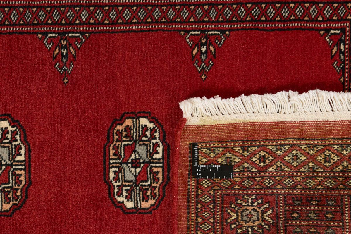 Pakistan Buchara 2ply - 1