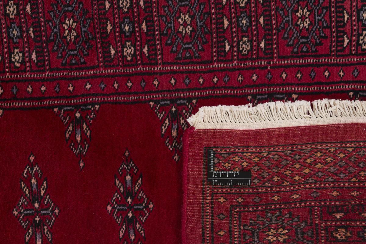 Pakistan Buchara 2ply - 1