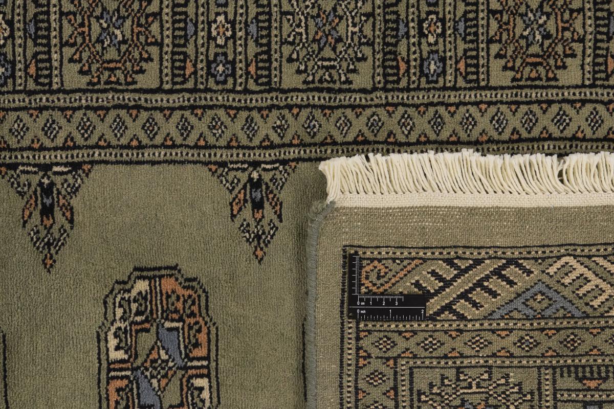 Pakistan Buchara 3ply - 1