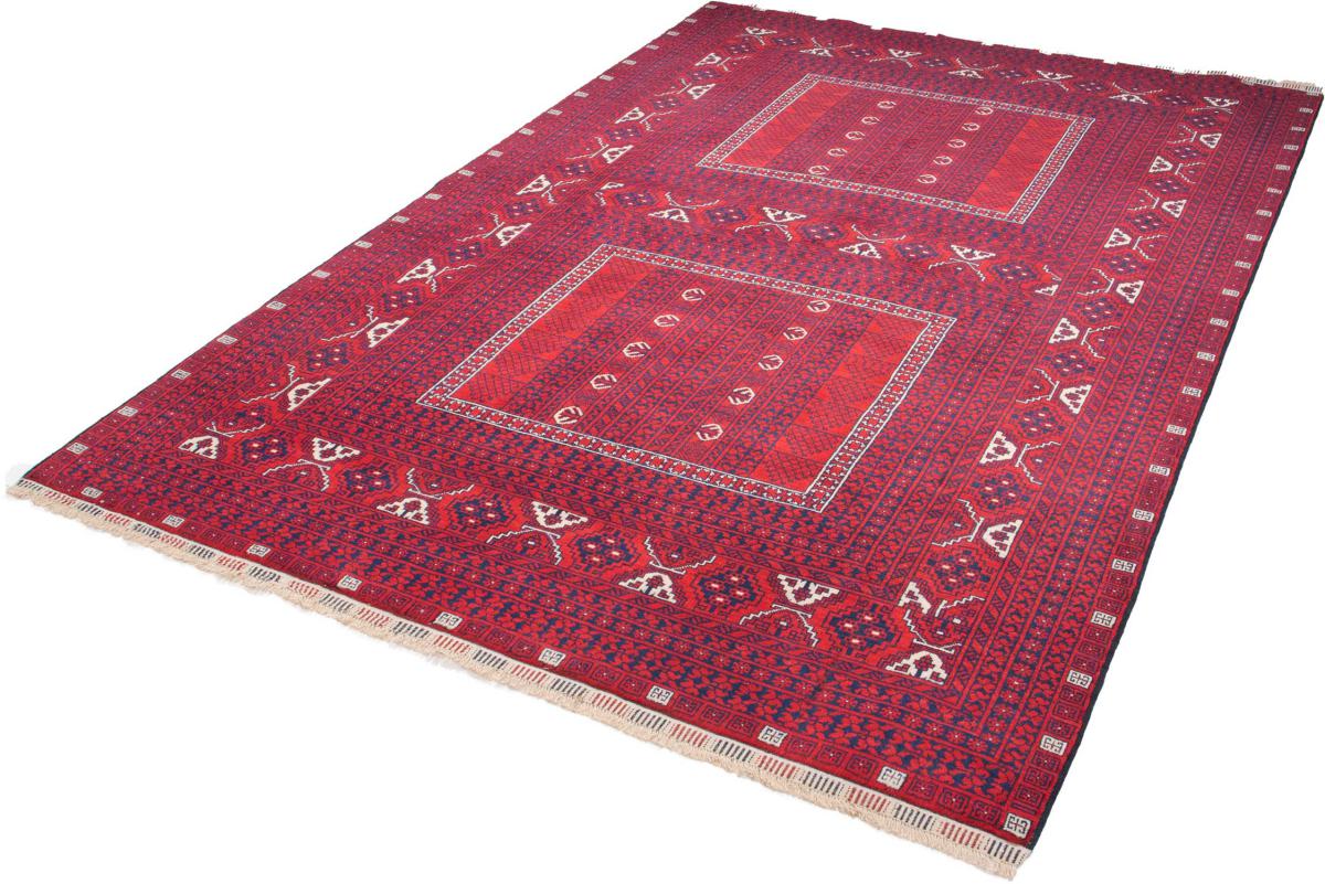Afghan Mauri - 1