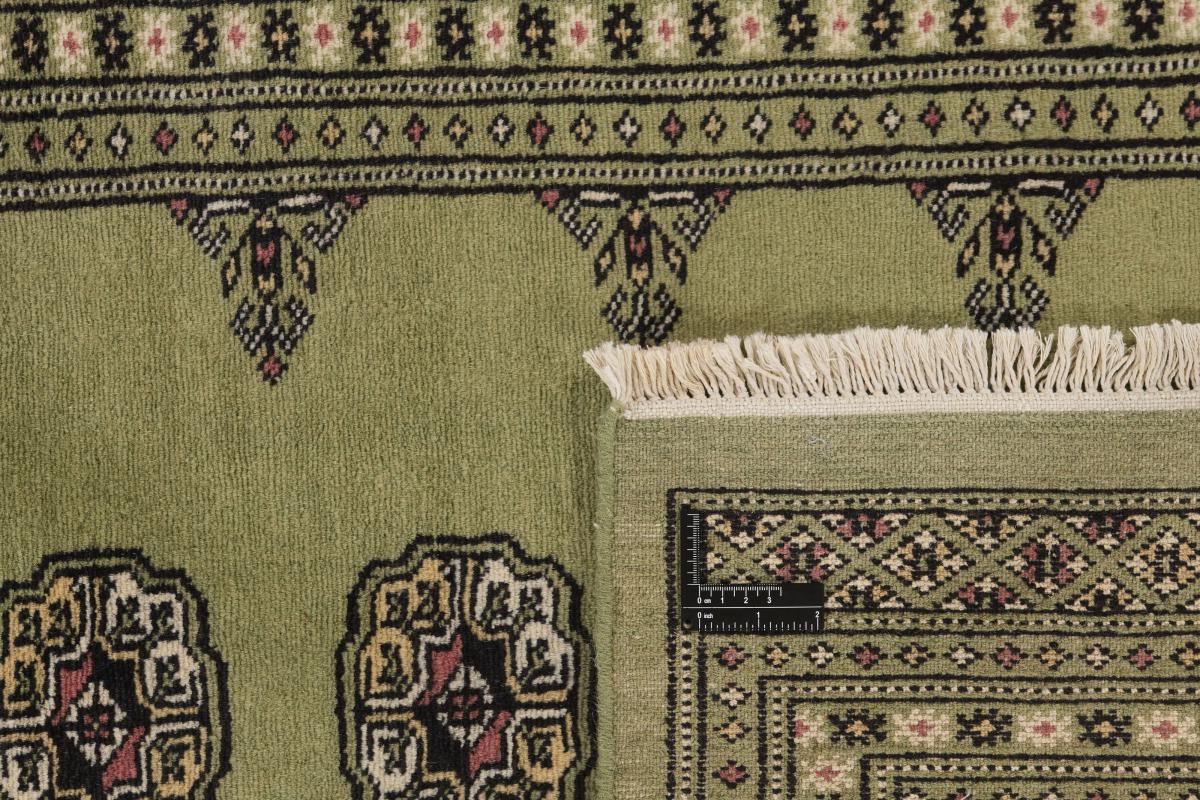 Pakistan Buchara 2ply - 1