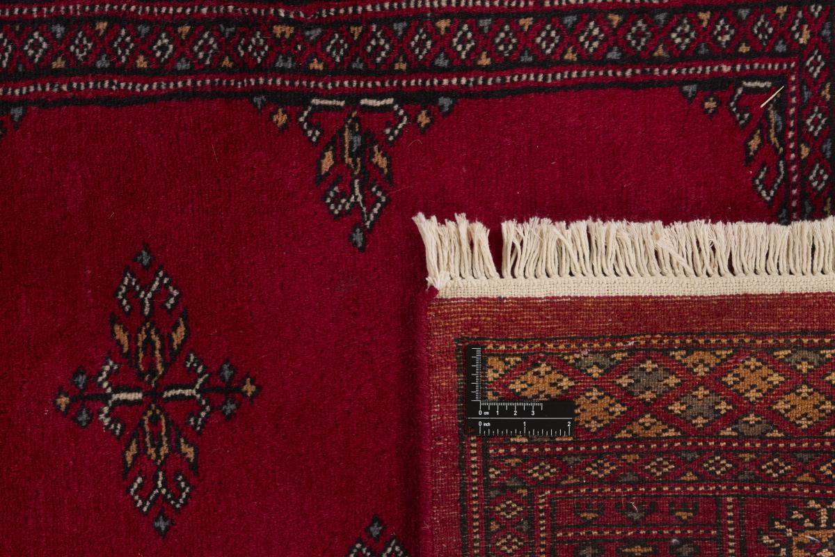 Pakistan Buchara 2ply - 1