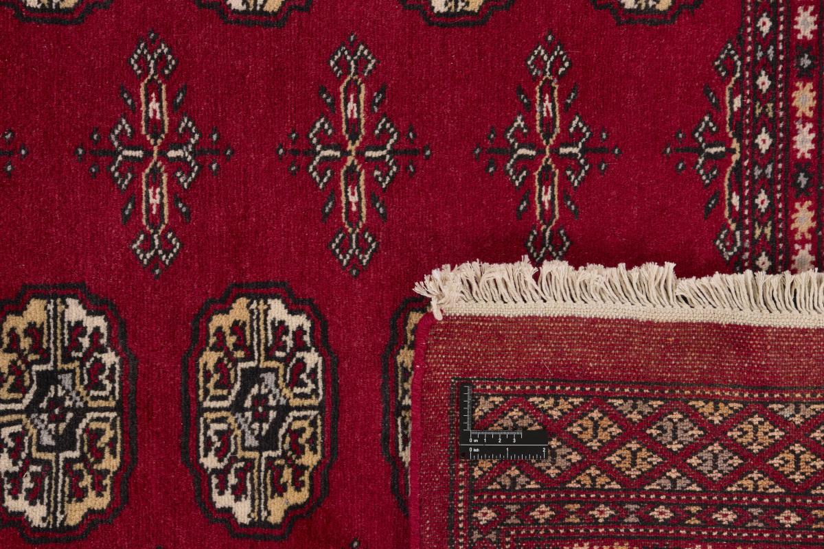 Pakistan Buchara 2ply - 1